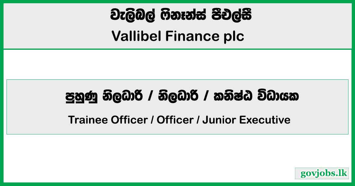 Trainee Officer / Officer / Junior Executive - Gold Loan (All Branches) - Vallibel Finance Job Vacancies 2024