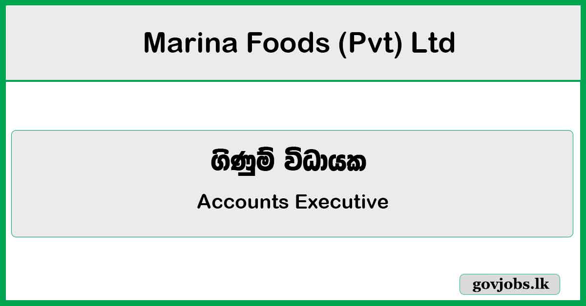 Accounts Executive - Marina Foods (Pvt) Ltd Job Vacancies 2024