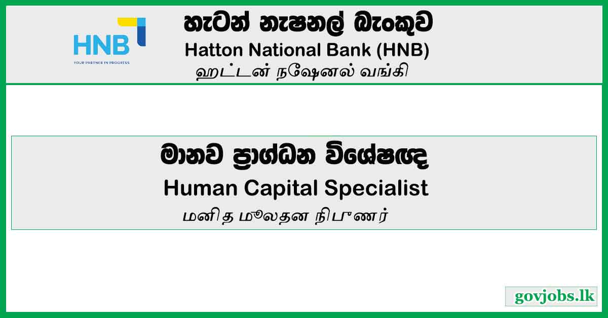 Human Capital Specialist – Hatton National Bank Job Vacancies 2024