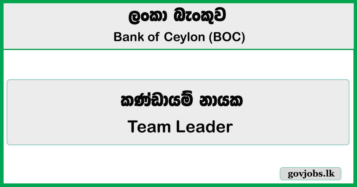 Team Leader - Bank of Ceylon Job Vacancies 2024