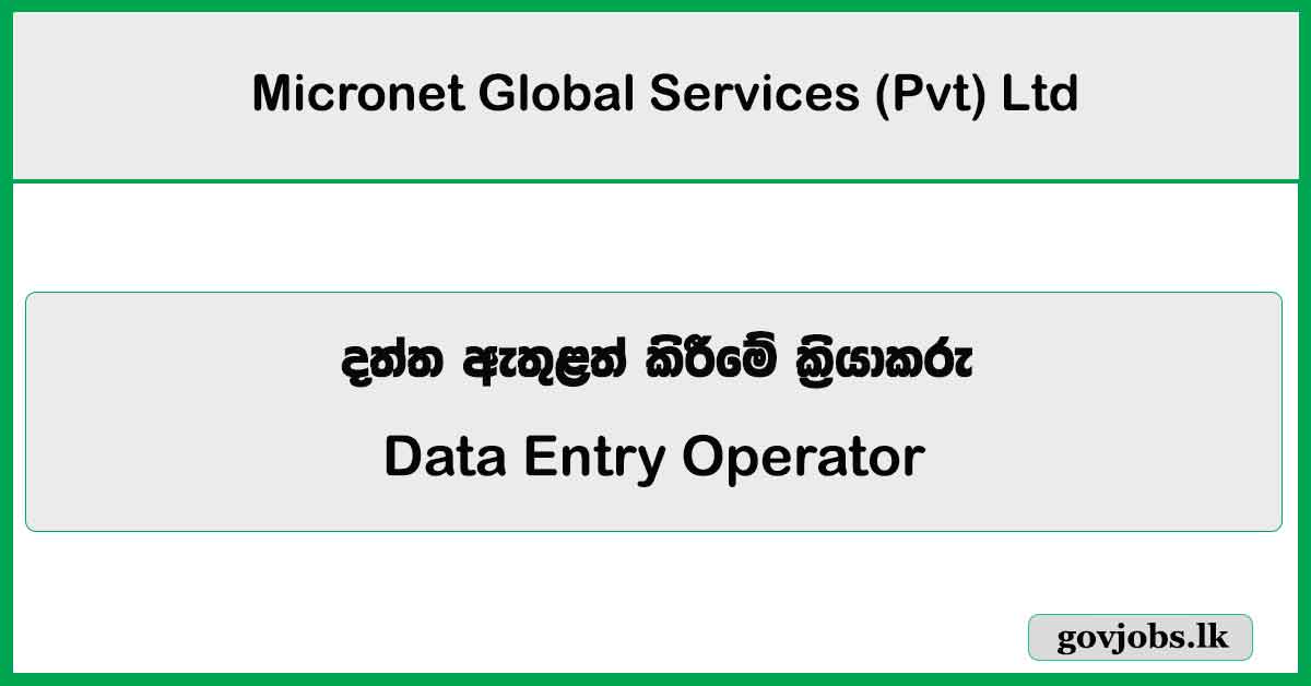 Data Entry Operator - Micronet Global Services (Pvt) Ltd Job Vacancies 2024