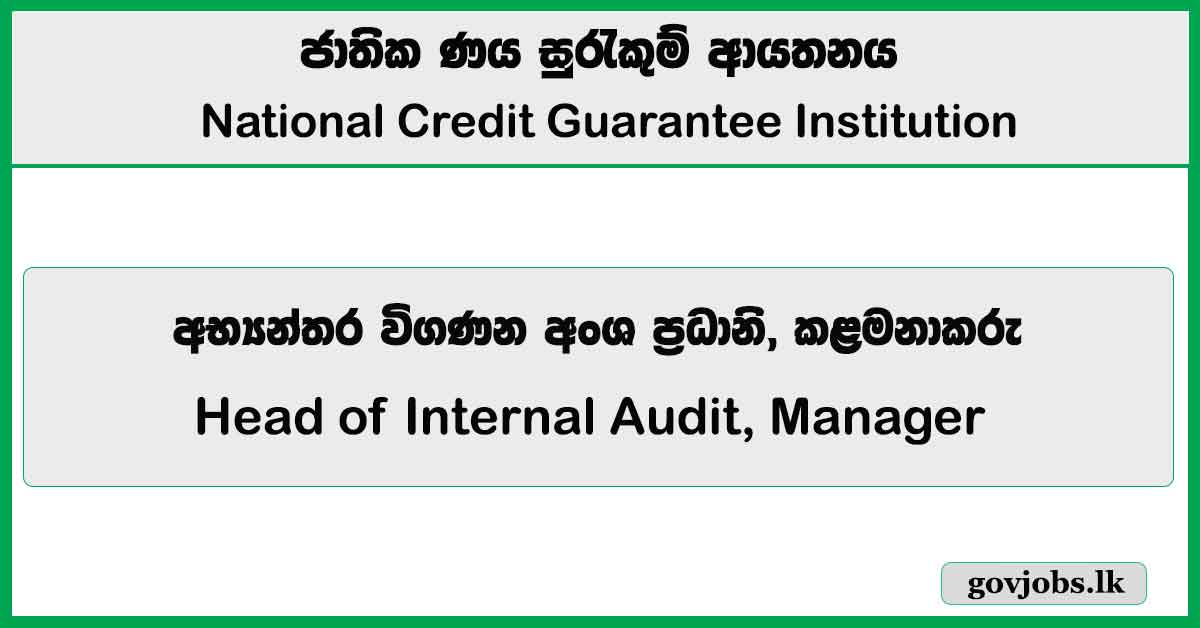 Head of Internal Audit, Manager - National Credit Guarantee Institution Job Vacancies 2024