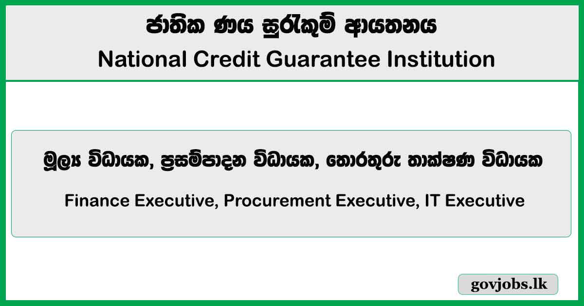 Finance Executive, Procurement Executive, IT Executive - National Credit Guarantee Institution Job Vacancies 2024