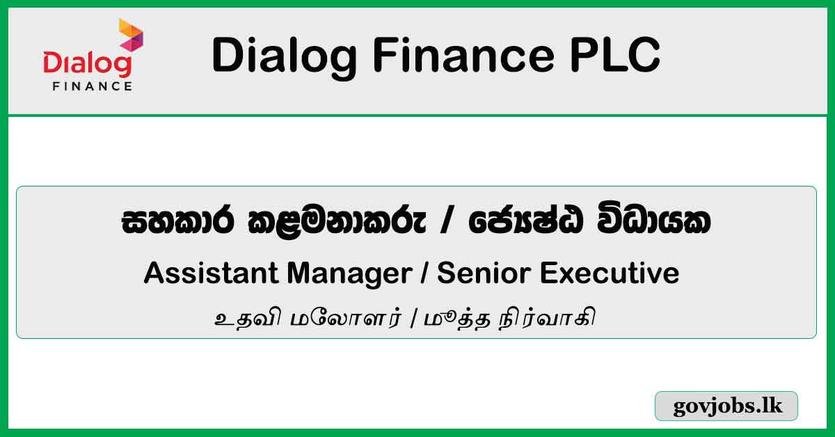 Assistant Manager, Senior Executive – Dialog Finance PLC Job Vacancies 2024