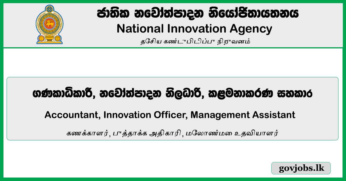 Accountant, Innovation Officer, Management Assistant - National Innovation Agency Vacancies 2023