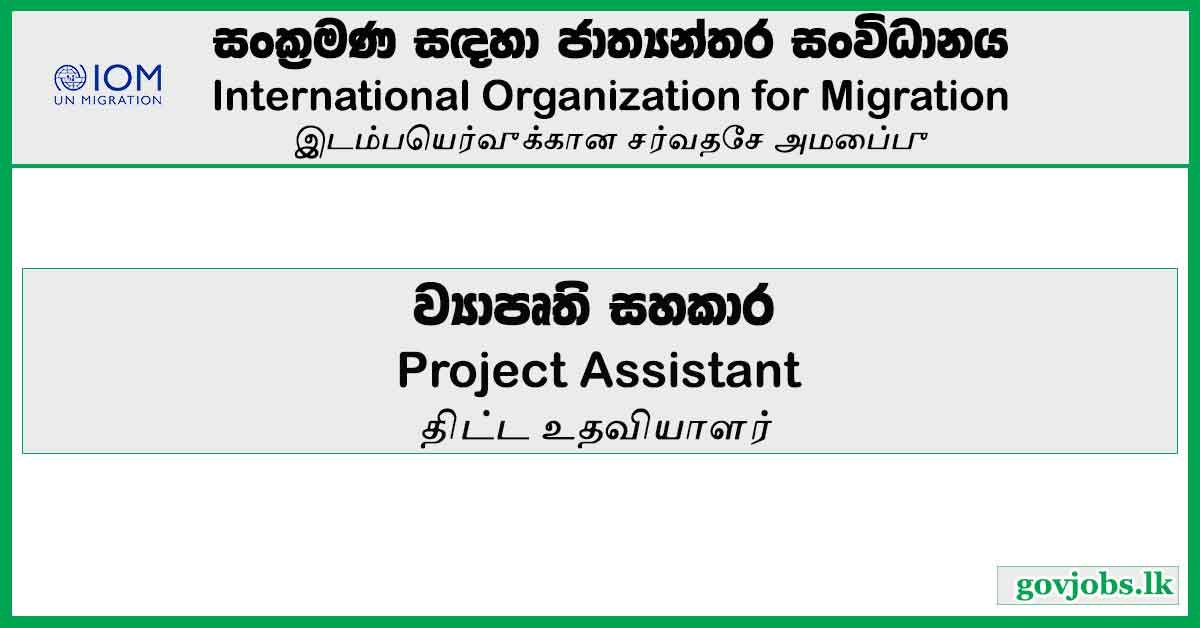 Project Assistant International Organization For Migration Job   32 3 