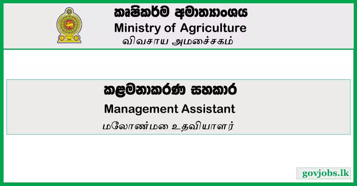 Management Assistant - Ministry Of Agriculture Job Vacancies 2024