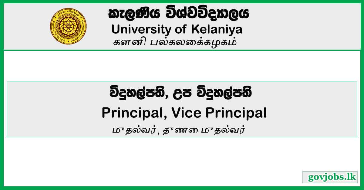 Principal Vice Principal University Of Kelaniya Job Vacancies 2024   33 3 