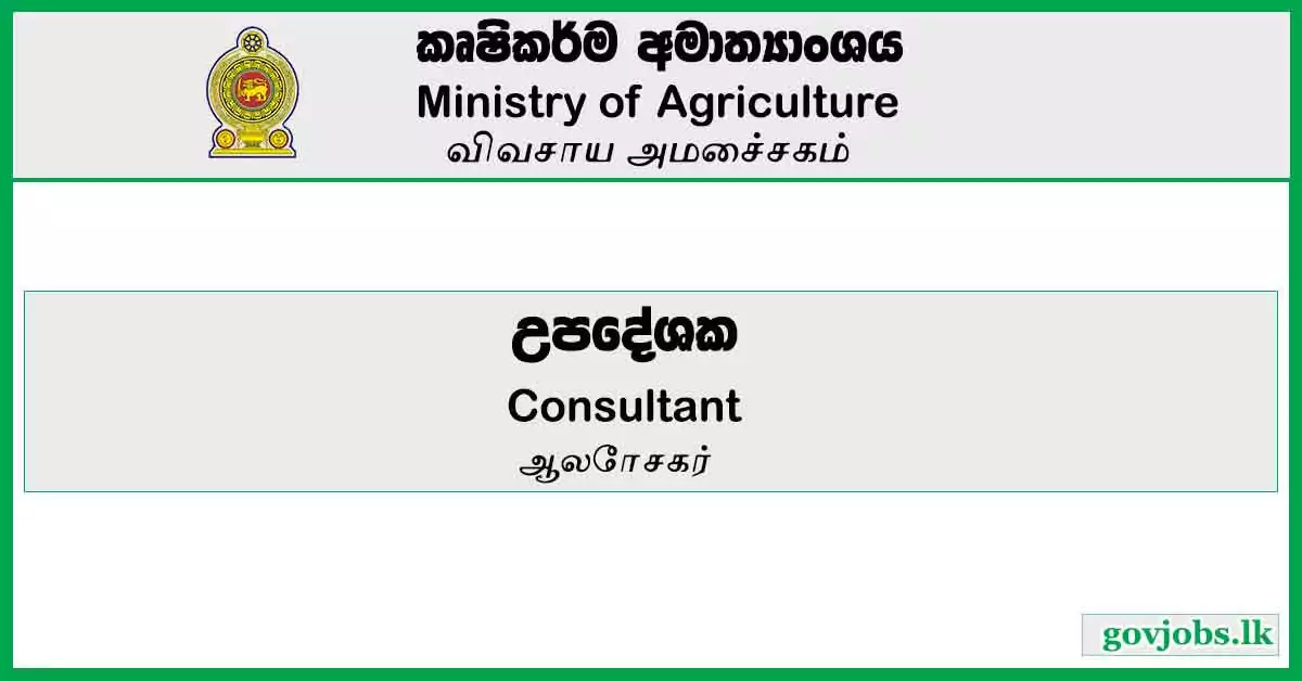 Consultant - Ministry Of Agriculture - Colombo Job Vacancies 2024