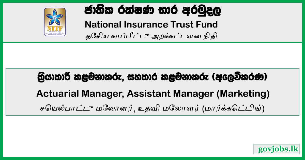 National Insurance Trust Fund (NITF) - Actuarial Manager, Assistant Manager (Marketing) Vacancies 2023