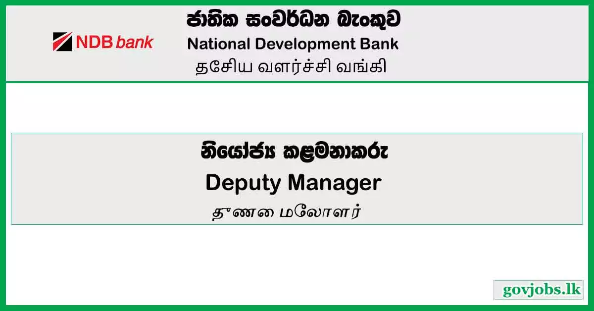 Deputy Manager (Finance & Planning) – National Development Bank Vacancies 2023