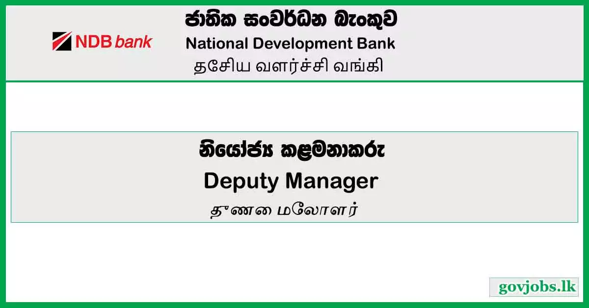 Deputy Manager (Card Issuance & Customer Experience) – National Development Bank Vacancies 2023