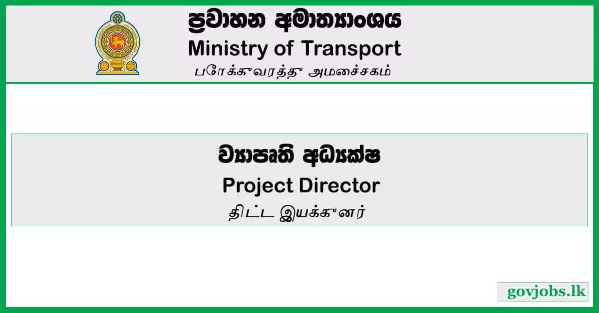 Project Director - Ministry Of Transport Job Vacancies 2024