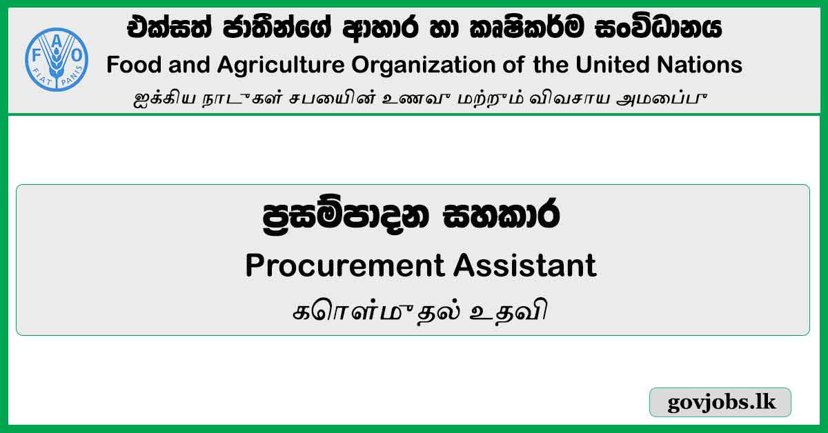 Procurement Assistant - Food And Agriculture Organization Of The United Nations Vacancies 2024