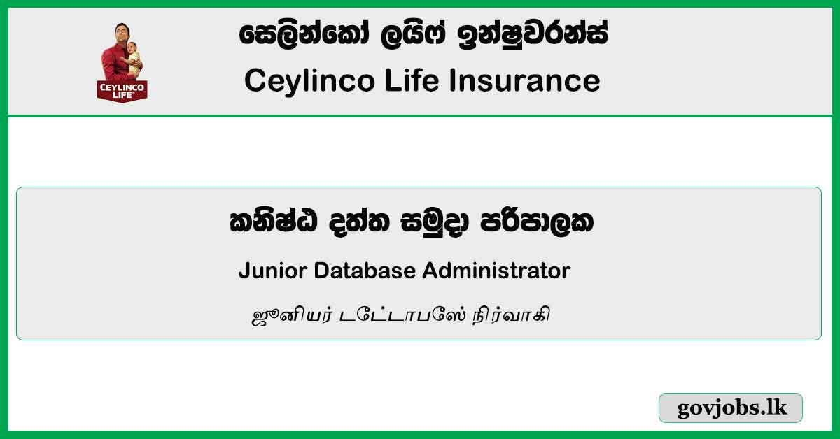 Junior Database Administrator – Ceylinco Life Insurance Vacancies 2023