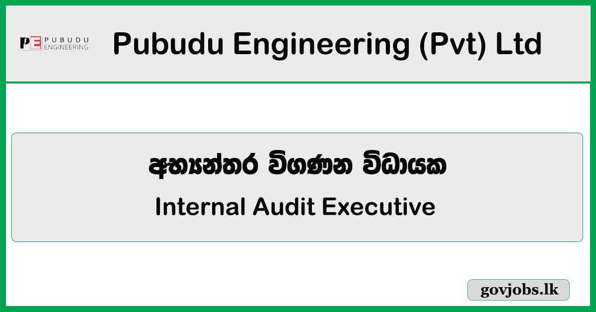 Internal Audit Executive - Pubudu Engineering (Pvt) Ltd Job Vacancies 2023