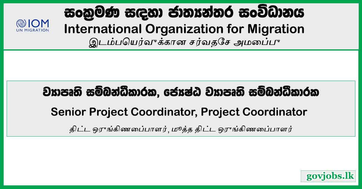 Senior Project Coordinator, Project Coordinator - International Organization For Migration Job Vacancies 2024