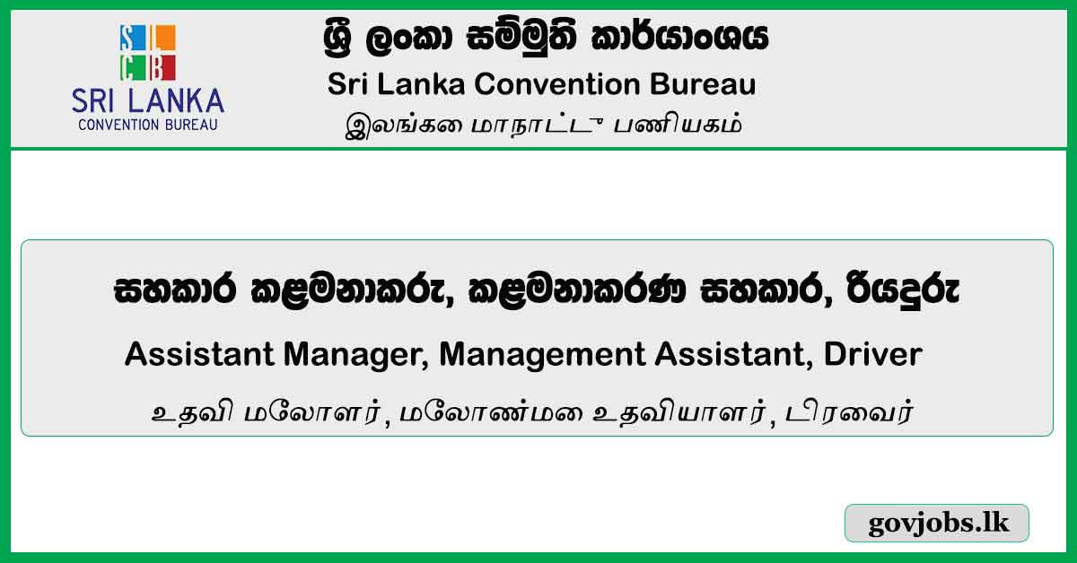 Assistant Manager, Management Assistant, Driver - Sri Lanka Convention Bureau Job Vacancies 2024