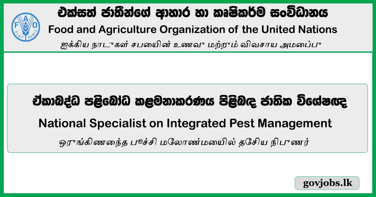 National Specialist On Integrated Pest Management - Food And Agriculture Organization Of The United Nations Vacancies 2024