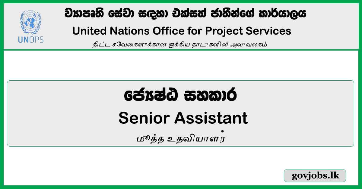 Senior Assistant - United Nations Office For Project Services Job Vacancies 2024