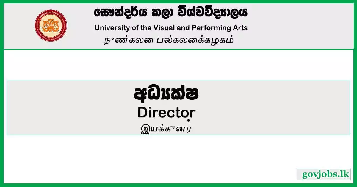 Director - University of the Visual and Performing Arts Job Vacancies 2024