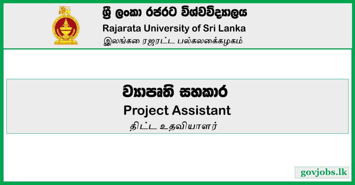 Project Assistant - Rajarata University Job Vacancies 2024