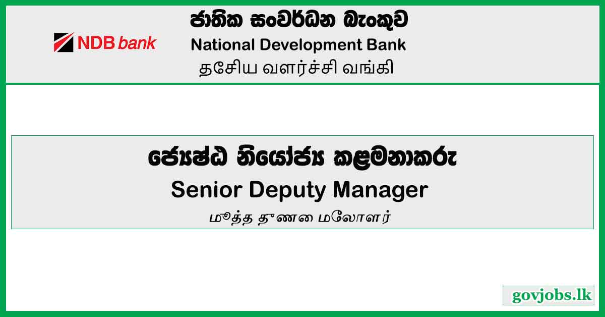 Senior Deputy Manager – National Development Bank Job Vacancies 2023