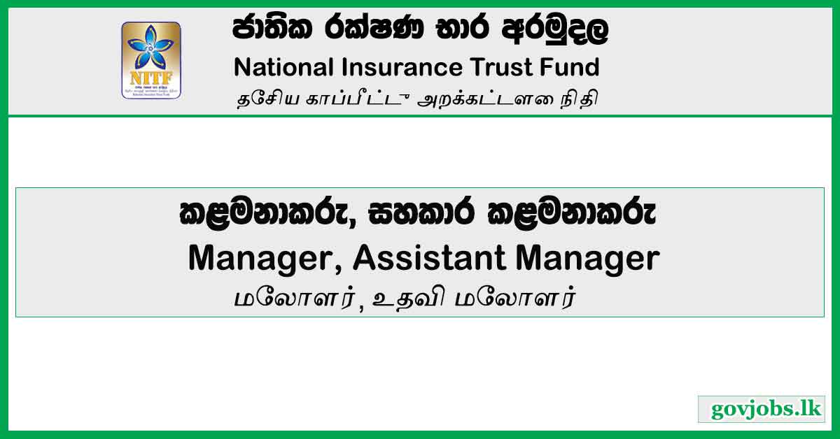 Manager, Assistant Manager - National Insurance Trust Fund Job Vacancies 2023