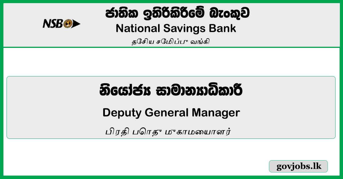 Deputy General Manager - National Savings Bank Job Vacancies 2024