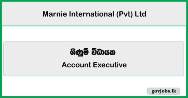 Account Executive - Marnie International (Pvt) Ltd Job Vacancies 2026