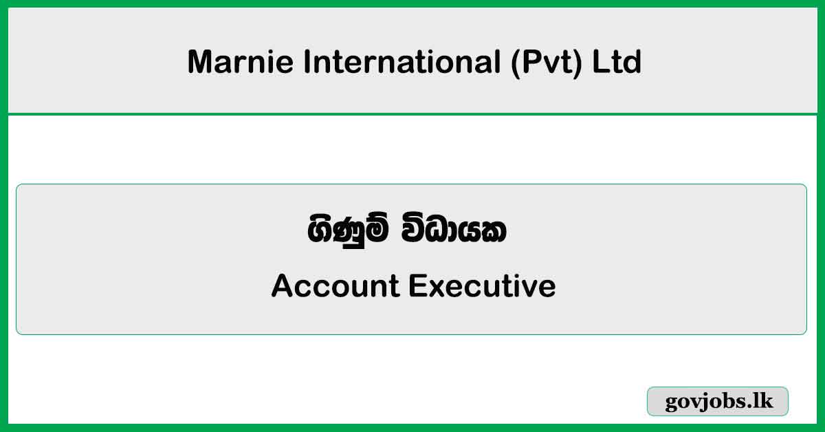 Account Executive - Marnie International (Pvt) Ltd Job Vacancies 2026