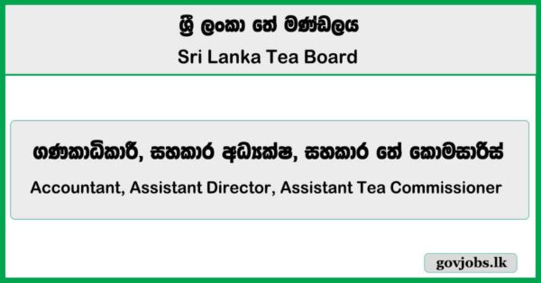 Accountant, Assistant Director, Assistant Tea Commissioner - Sri Lanka Tea Board Job Vacancies 2025
