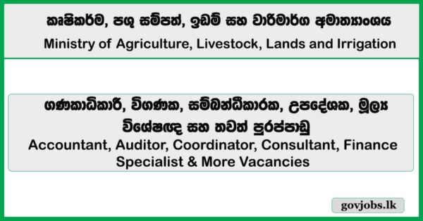 Accountant, Auditor, Coordinator, Consultant, Finance Specialist & More Vacancies - Ministry of Agriculture, Livestock, Lands and Irrigation 2026 Job Vacancies