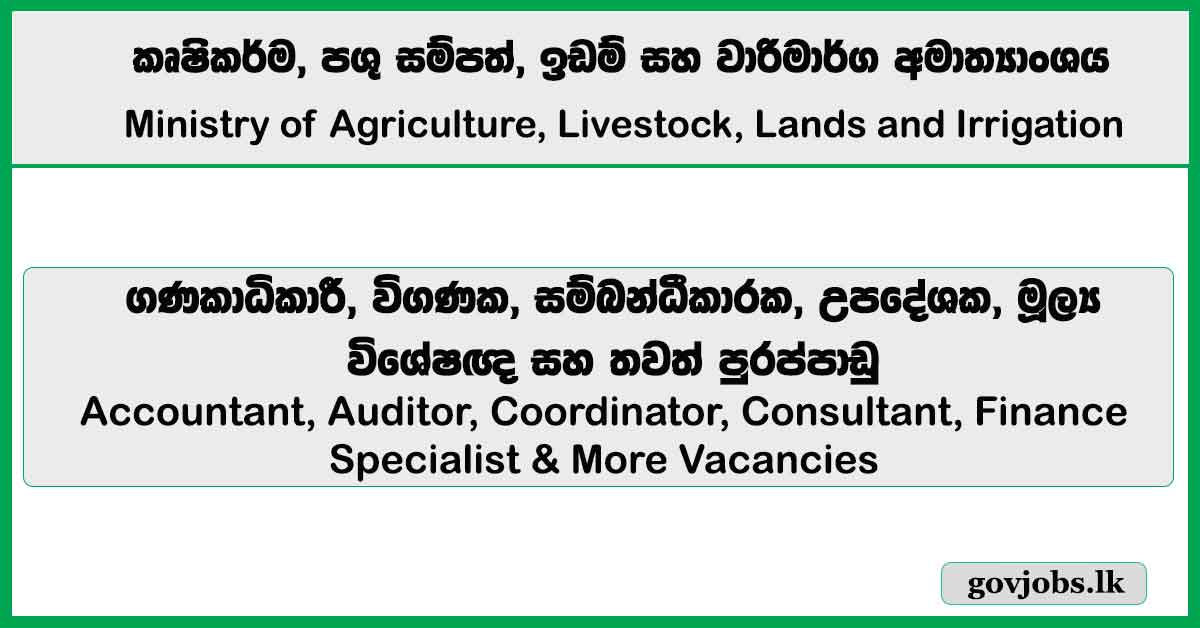 Accountant, Auditor, Coordinator, Consultant, Finance Specialist & More Vacancies - Ministry of Agriculture, Livestock, Lands and Irrigation 2026 Job Vacancies