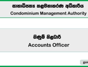Accounts Officer - Condominium Management Authority 2026 Job Vacancies