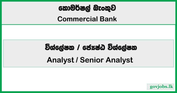 Analyst, Senior Analyst - Commercial Bank Job Vacancies 2026