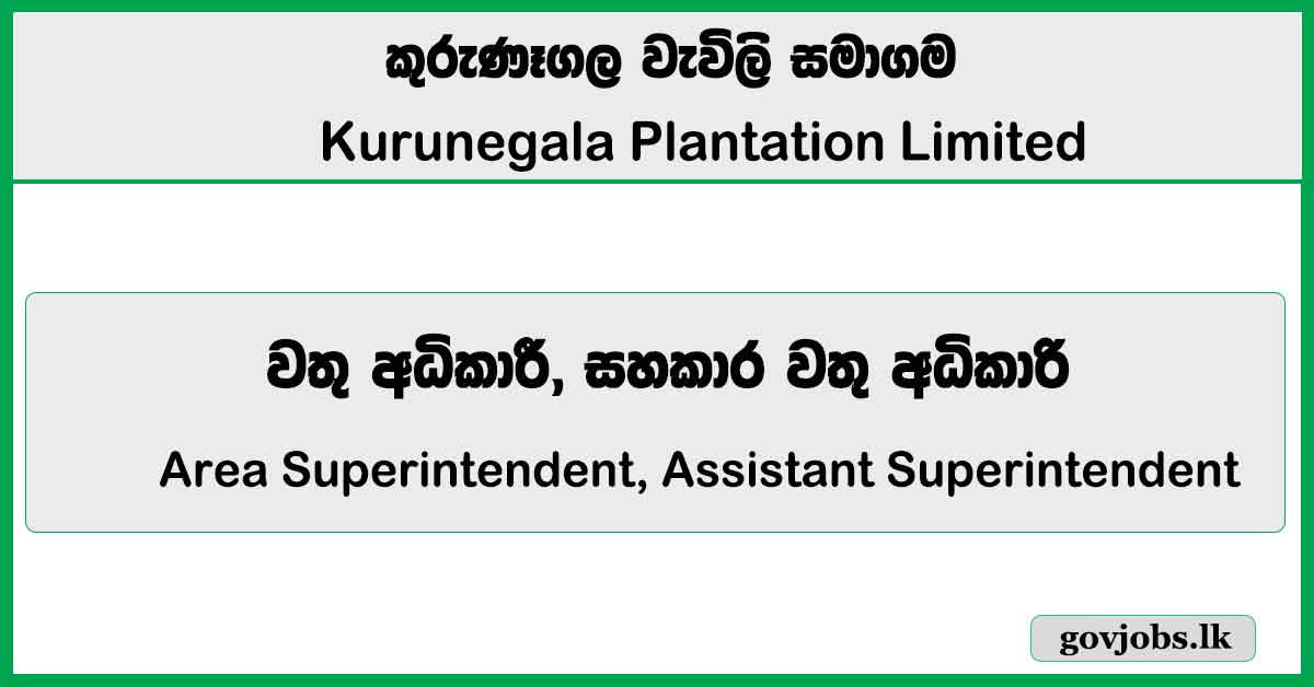 Area Superintendent, Assistant Superintendent – Kurunegala Plantation Limited Job Vacancies 2026