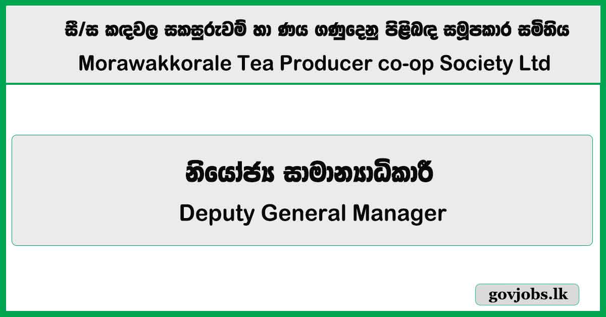 Assistant Bank Manager - Kandawala Savings and Credit Cooperative Society Limited Job Vacancies 2025