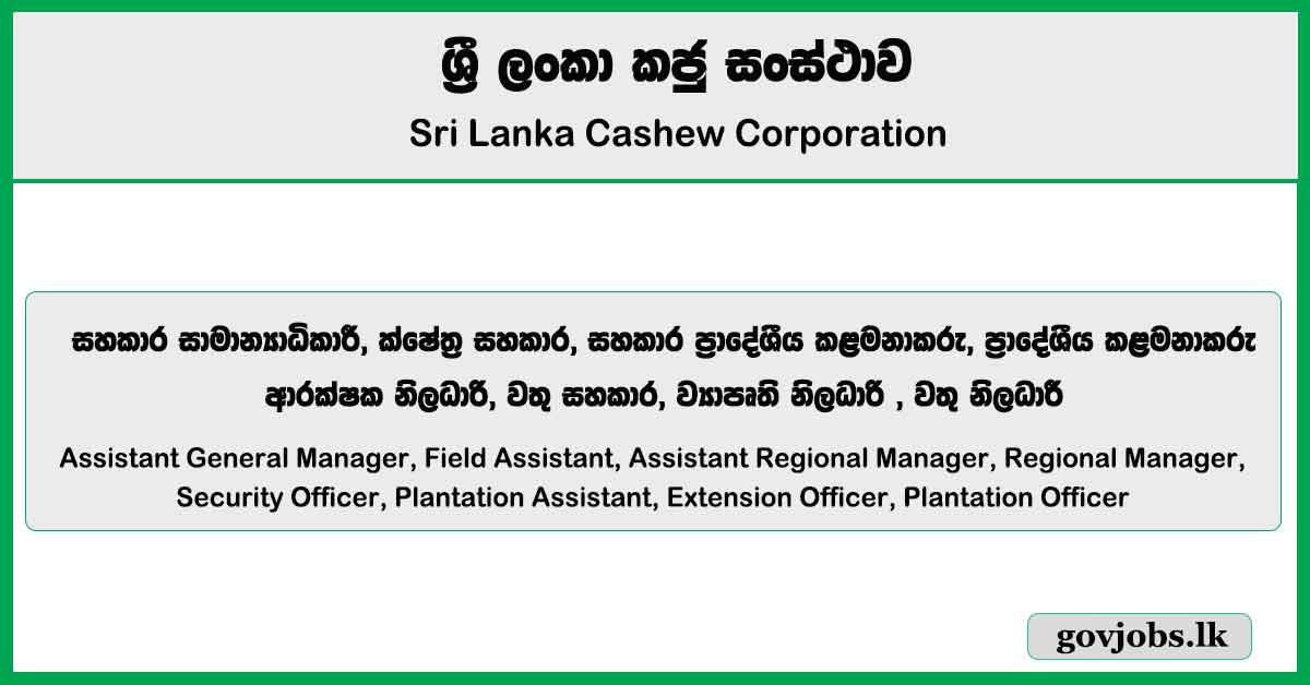 Assistant General Managers, Extension Officer - Sri Lanka Cashew Corporation Job Vacancies 2025