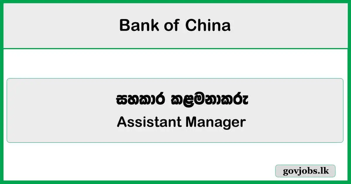 Assistant Manager (Credit Risk Management) - Bank of China Job Vacancies 2025