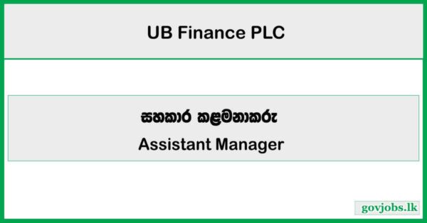 Assistant Manager - Finance - UB Finance PLC Vacancies 2025
