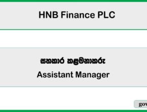 Assistant Manager - Gold Loan - HNB Finance PLC Vacancies 2025