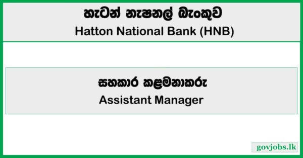 Assistant Manager – Hatton National Bank Job Vacancies 2025