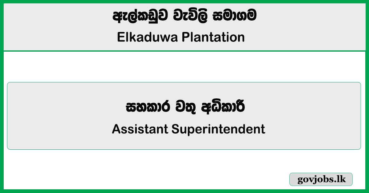 Assistant Superintendent – Elkaduwa Plantation Ltd Job Vacancies 2024