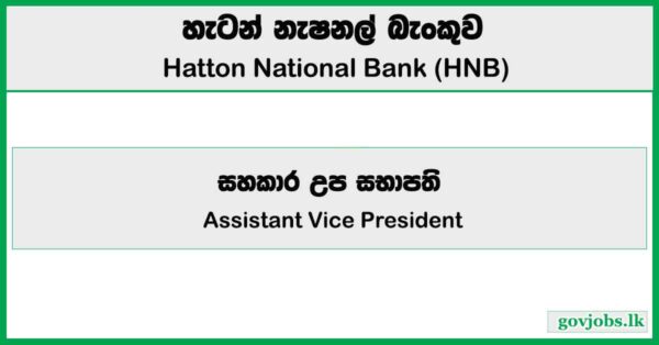 Assistant Vice President – Hatton National Bank Job Vacancies 2025