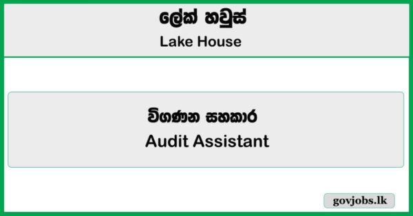 Audit Assistant - Lake House Job Vacancies 2025