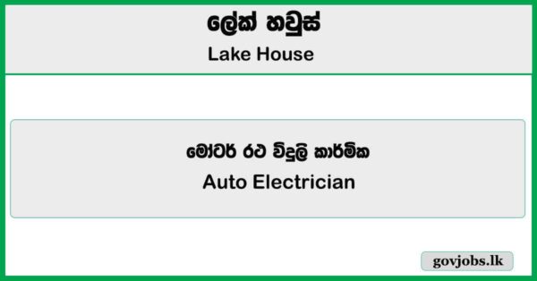 Auto Electrician (Vehicle) - Lake House Job Vacancies 2025