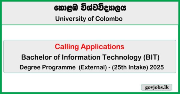 Bachelor of Information Technology (BIT) (External) Degree Programme 2025
