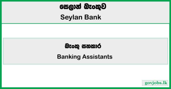 Banking Assistants - Seylan Bank Job Vacancies 2025