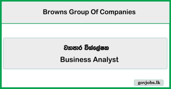 Business Analyst - Browns Group Of Companies Job Vacancies 2026